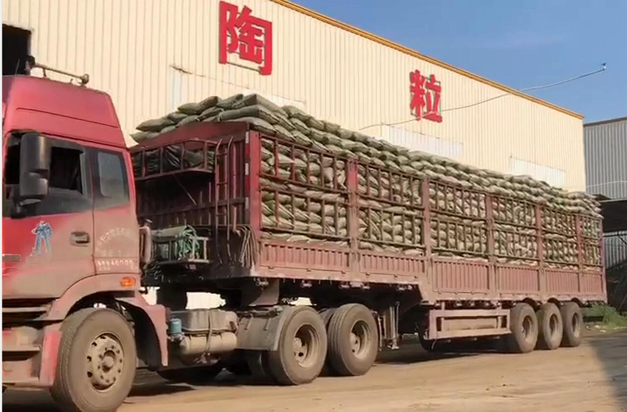 �P(gu��n)���҂�